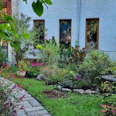 Flaneurstudio Szentendre Eksteriør bilde